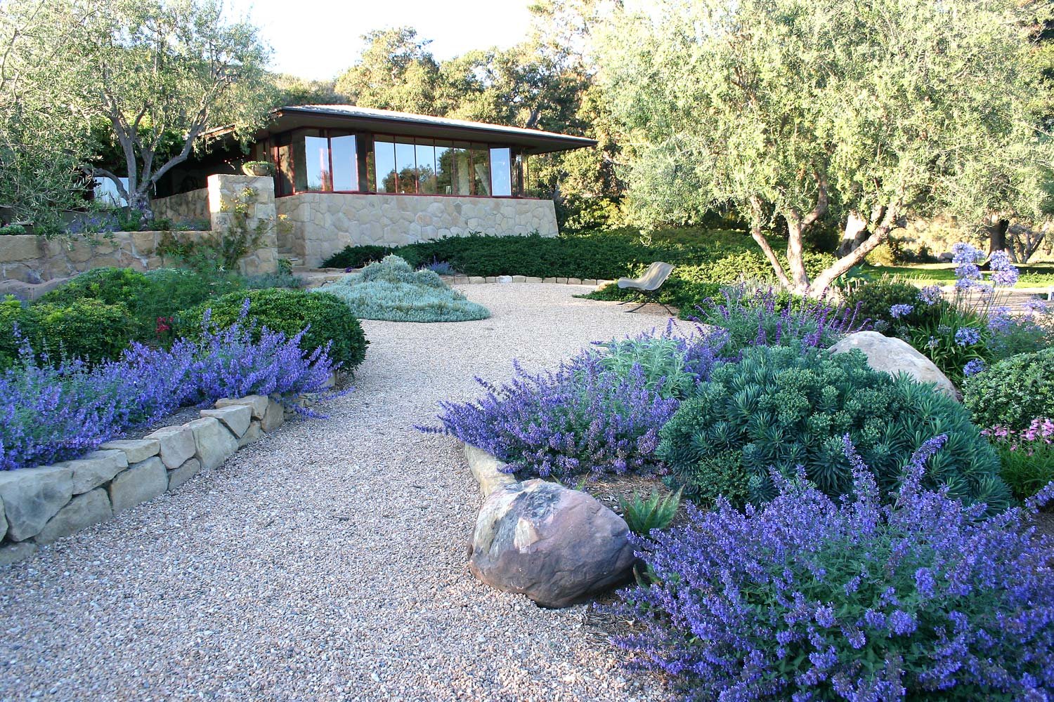 Drought-tolerant California landscaping